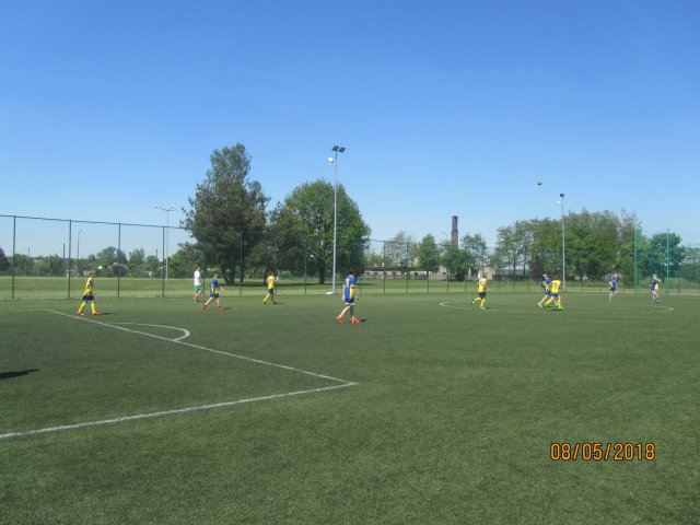 pino 1